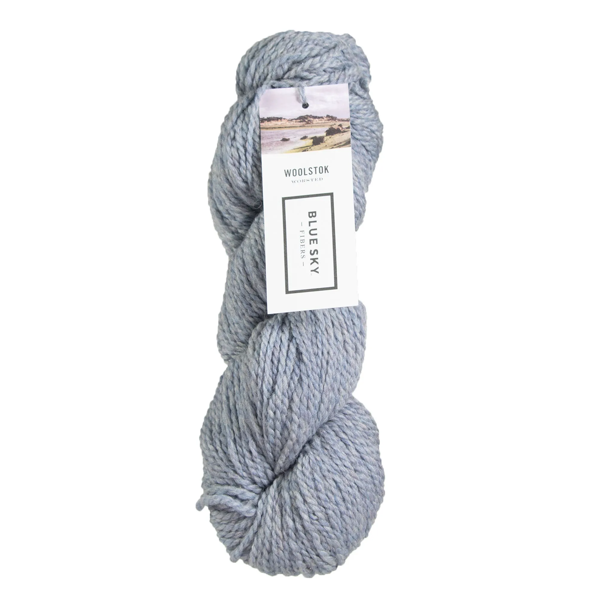 Blue Sky Fibers Woolstok Yarn - 1324 Morning Frost