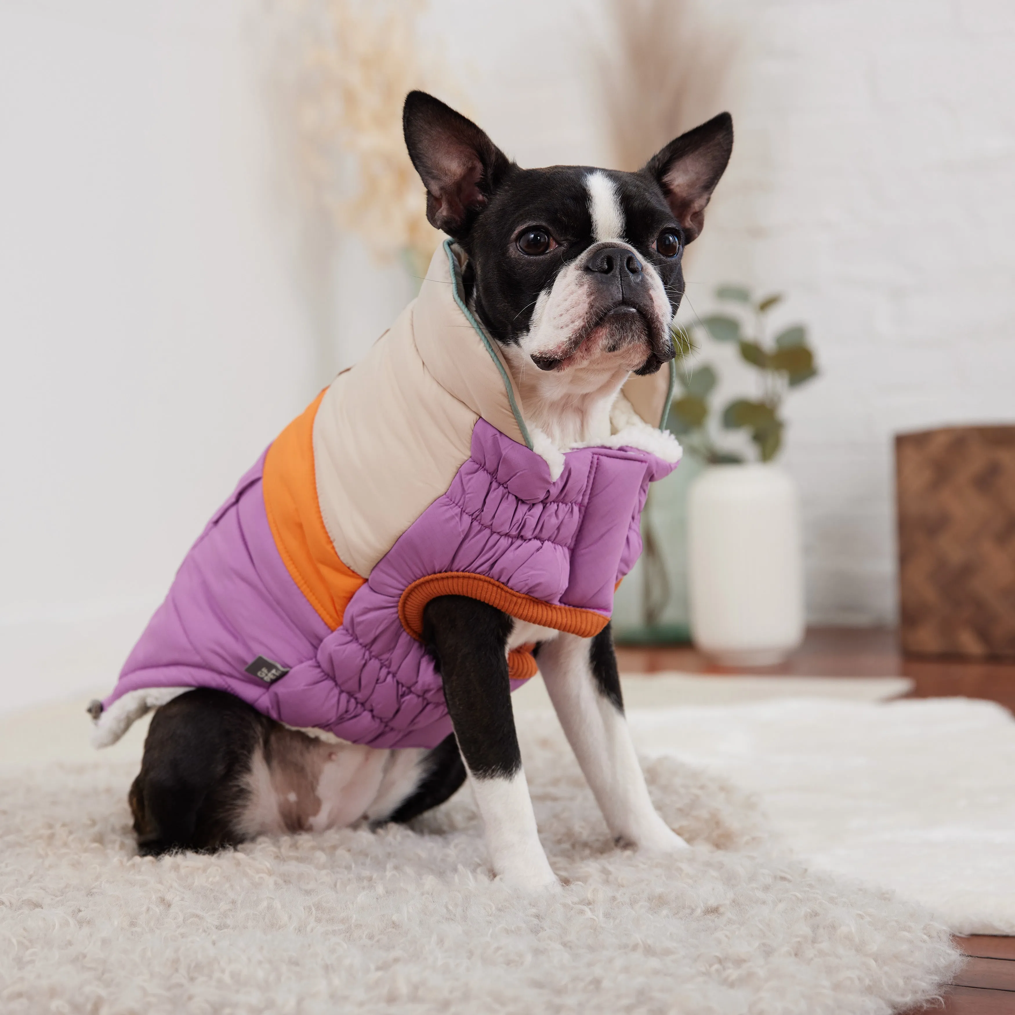 Camplife Puffer Dog Winter Coat - Purple