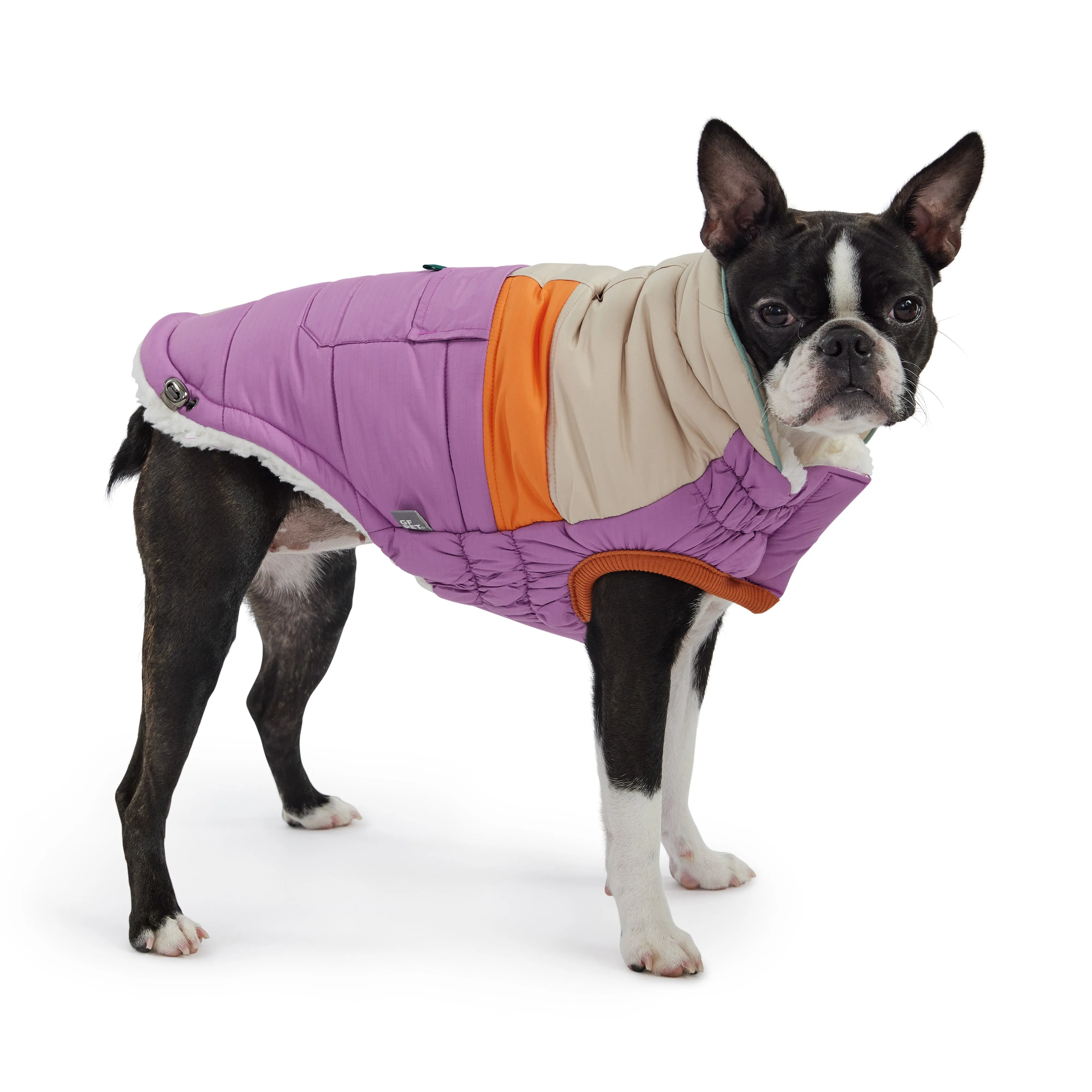 Camplife Puffer Dog Winter Coat - Purple
