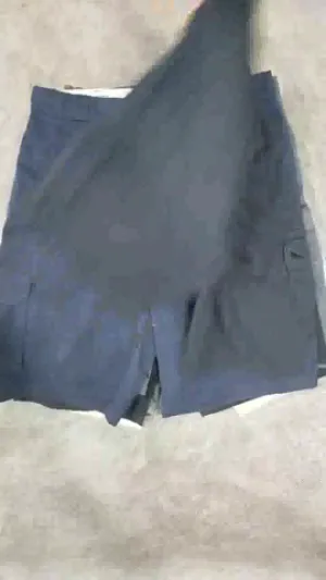 CR1534 Mix Dickies Cargo Shorts - 20 Pcs