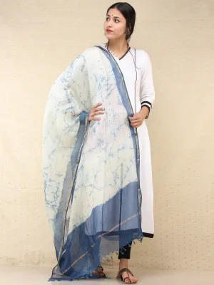Indigo Kota Silk Hand Brush Painted Dupatta - D04170765