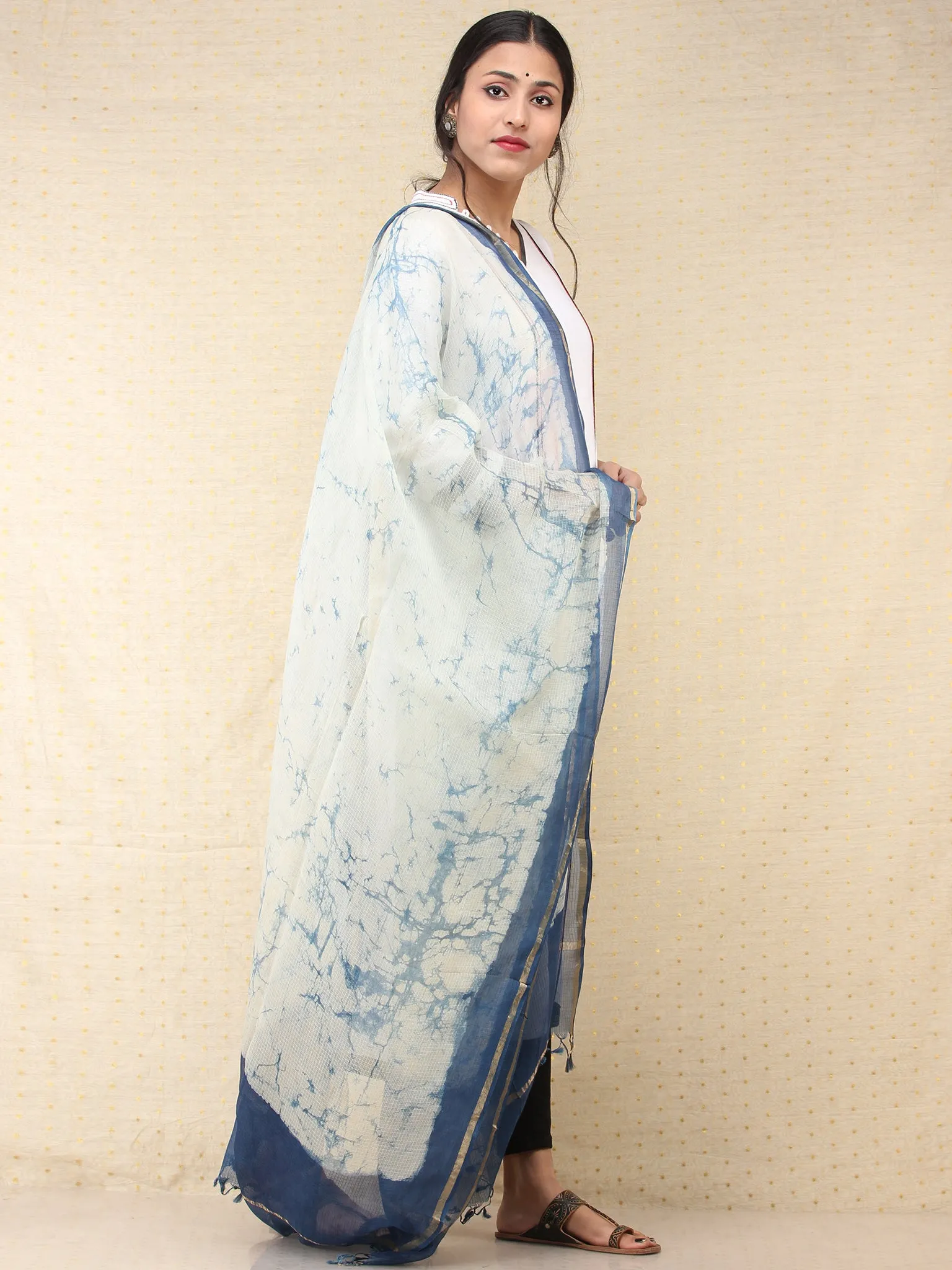 Indigo Kota Silk Hand Brush Painted Dupatta - D04170765