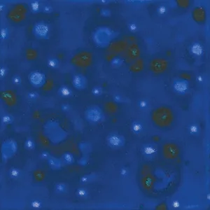 Mayco CG958 Lagoon Blue Jungle Gem Glaze, 4 oz