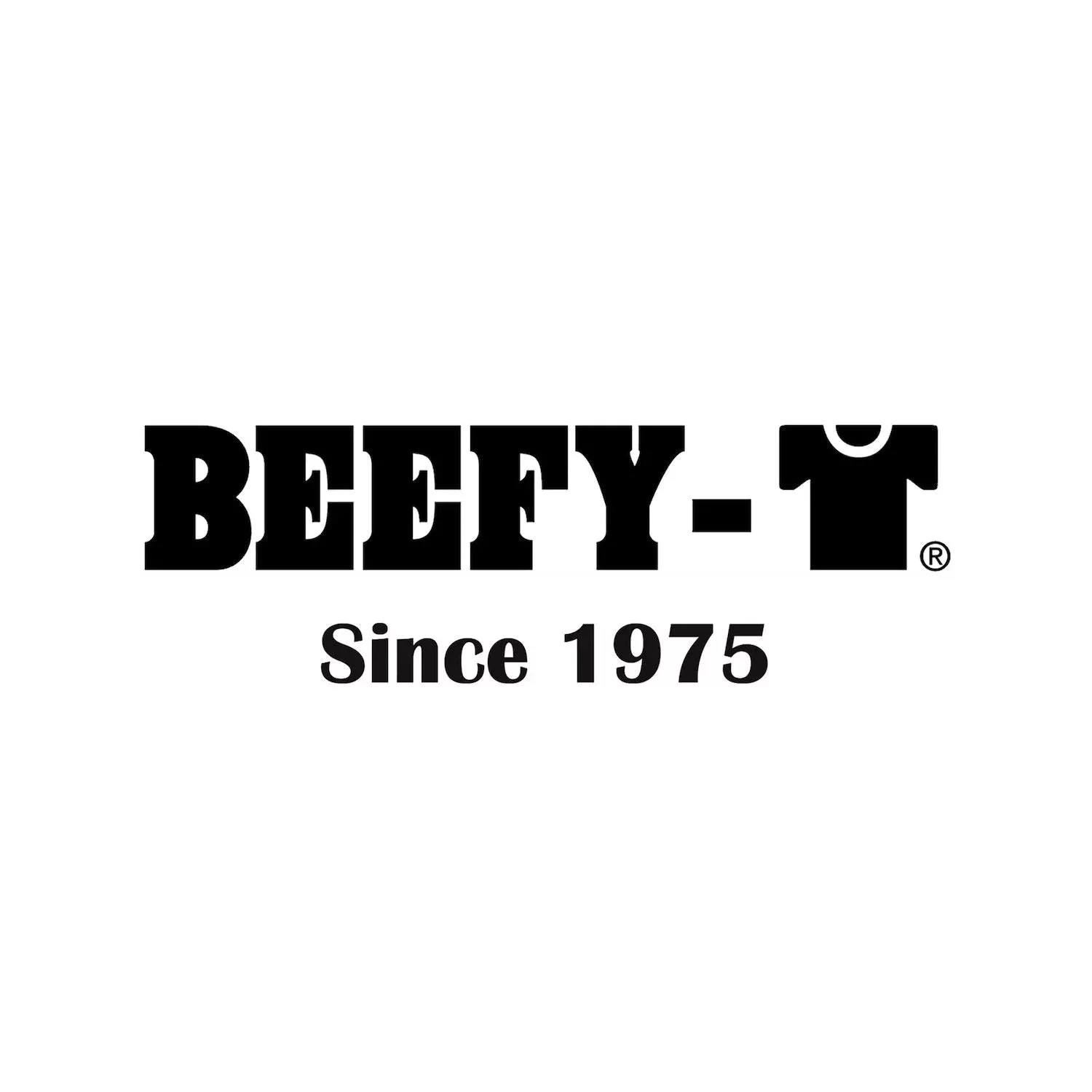 Men's Hanes Beefy Heavyweight Color Block Raglan Henley T-Shirt
