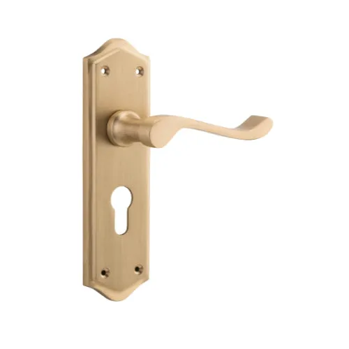 Tradco Henley Lever on Long Backplate (Pair)