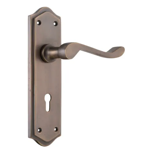 Tradco Henley Lever on Long Backplate (Pair)