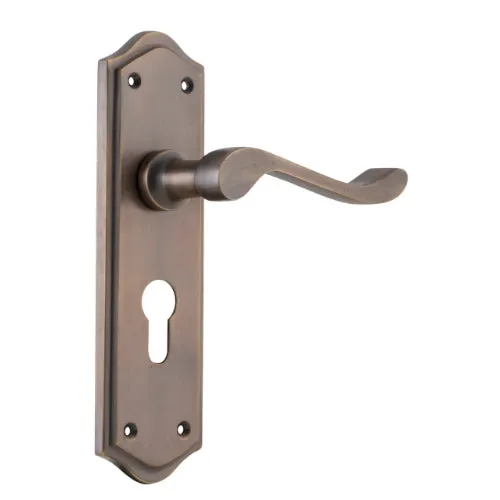 Tradco Henley Lever on Long Backplate (Pair)